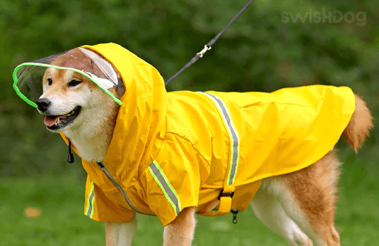 Best Rain Jackets for Dogs