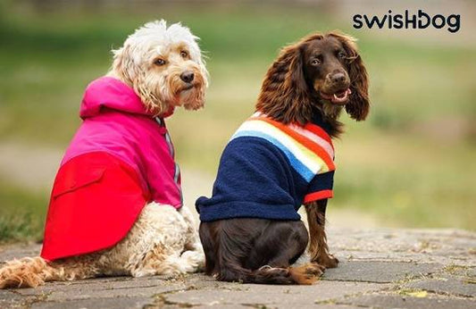 The Ultimate Guide to Choosing the Perfect Dog Coat