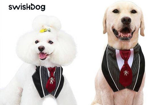 The Ultimate Guide to Formal Wear for Dogs: Styles & Tips