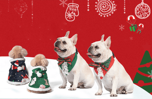 Top Holiday Pet Fashion Trends for 2024