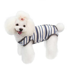 Dog Recovery Suit for Surgery | Comfortable & Stylish +