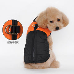 Warm Dog Winter Coat with Leash Hole | Zipper, Cotton Padding