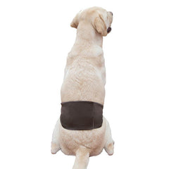 Waterproof Dog Pants for Male Dogs