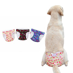 Stylish Pet Hygiene Pants: Comfort Meets Canine Couture