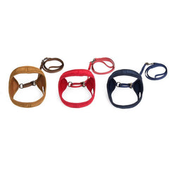 Cozy Velvet Pet Harness and Leash Set