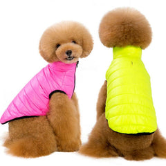 Rainbow Dog Vest: Unleash Your Pup's Inner Fashionista!