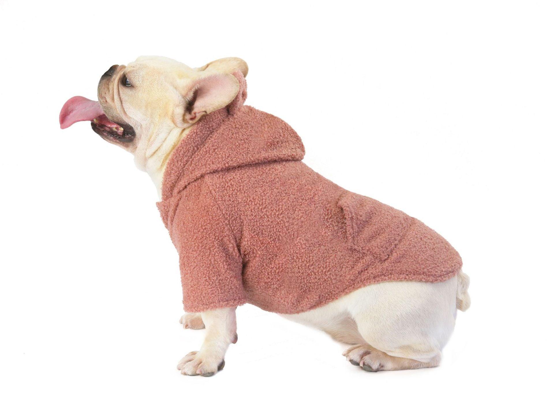 Stylish Teddy Bear Dog Jacket for Winter