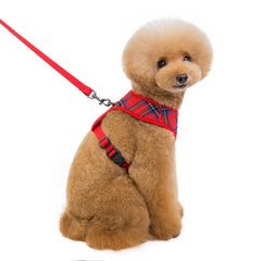 Trendy Dog Harness & Leash for Small Dogs