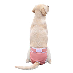 Dog Period Pants for Comfort & Cleanliness