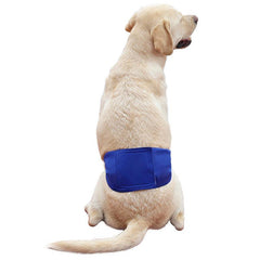 Waterproof Dog Pants for Male Dogs