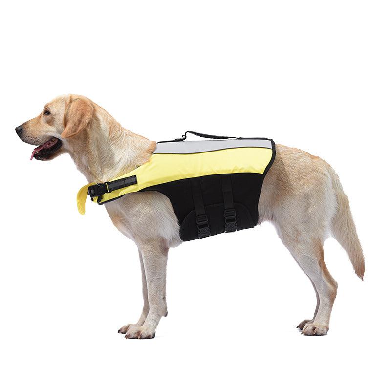 Spring/Summer Pet Life Jacket: Dive into Safety and Style!