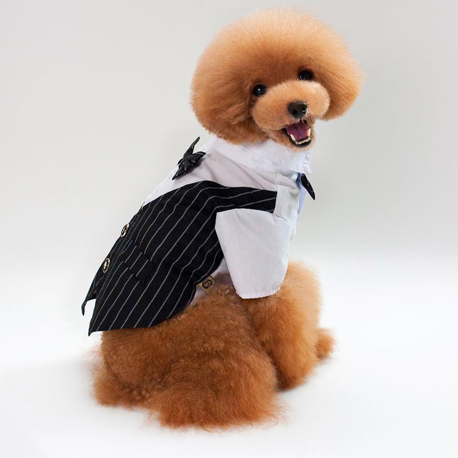 Stylish Striped Dog Suit for Weddings