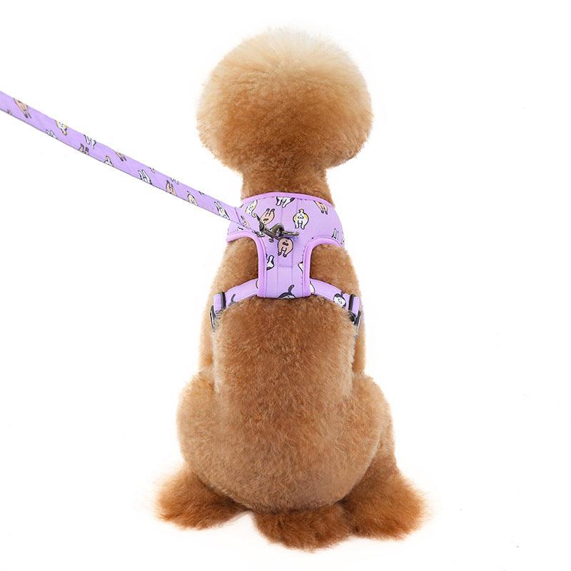 Stylish Dog Leash Set w/ Chest Harness | Small-Medium Breeds