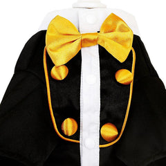 Stylish Pet Tuxedo with Golden Bow Tie