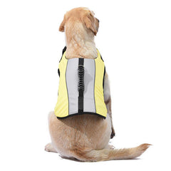 Spring/Summer Pet Life Jacket: Dive into Safety and Style!