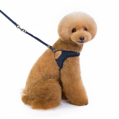 Cozy Velvet Pet Harness and Leash Set