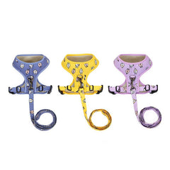 Stylish Dog Leash Set w/ Chest Harness | Small-Medium Breeds