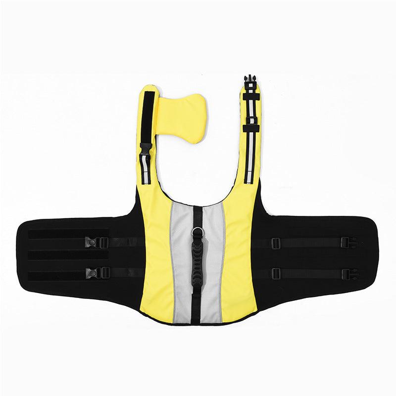 Spring/Summer Pet Life Jacket: Dive into Safety and Style!