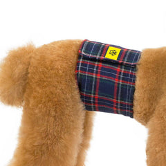 Male Dog Diapers: Prevent Messes & Keep Your Pup Comfy