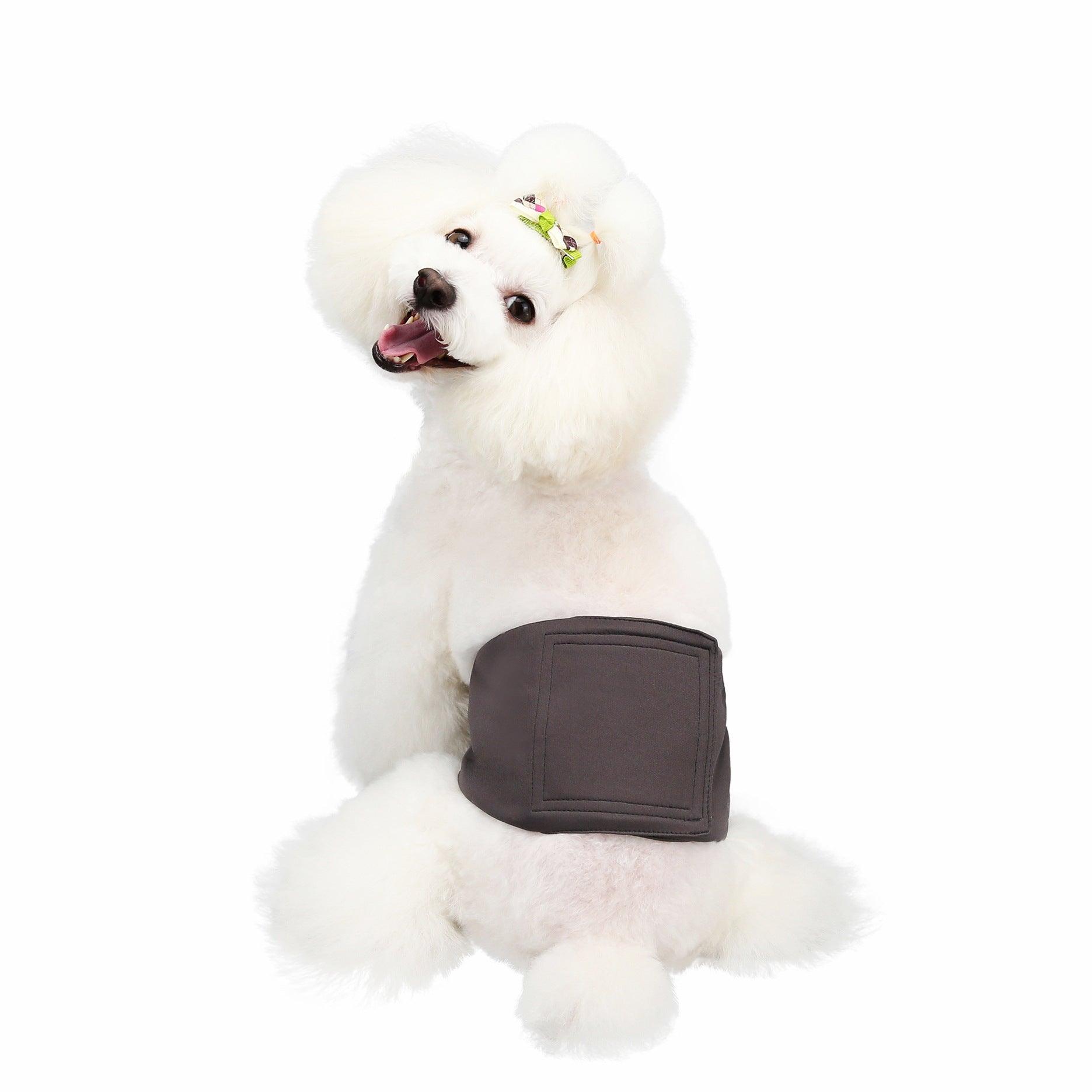 Waterproof Dog Pants for Male Dogs