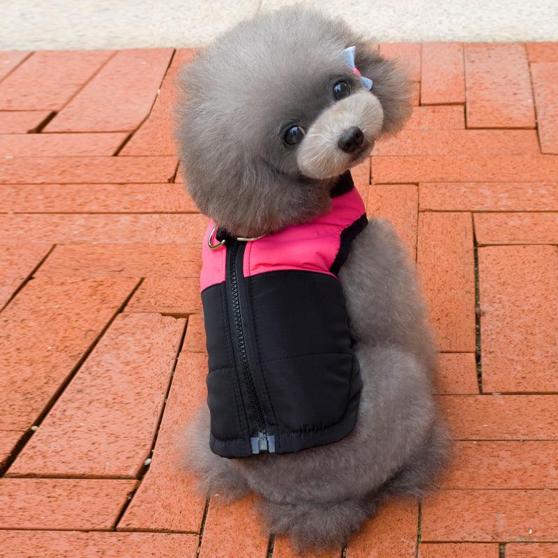 Warm Dog Winter Coat with Leash Hole | Zipper, Cotton Padding