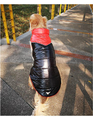 Warm Big Dog Cotton Vest for Winter