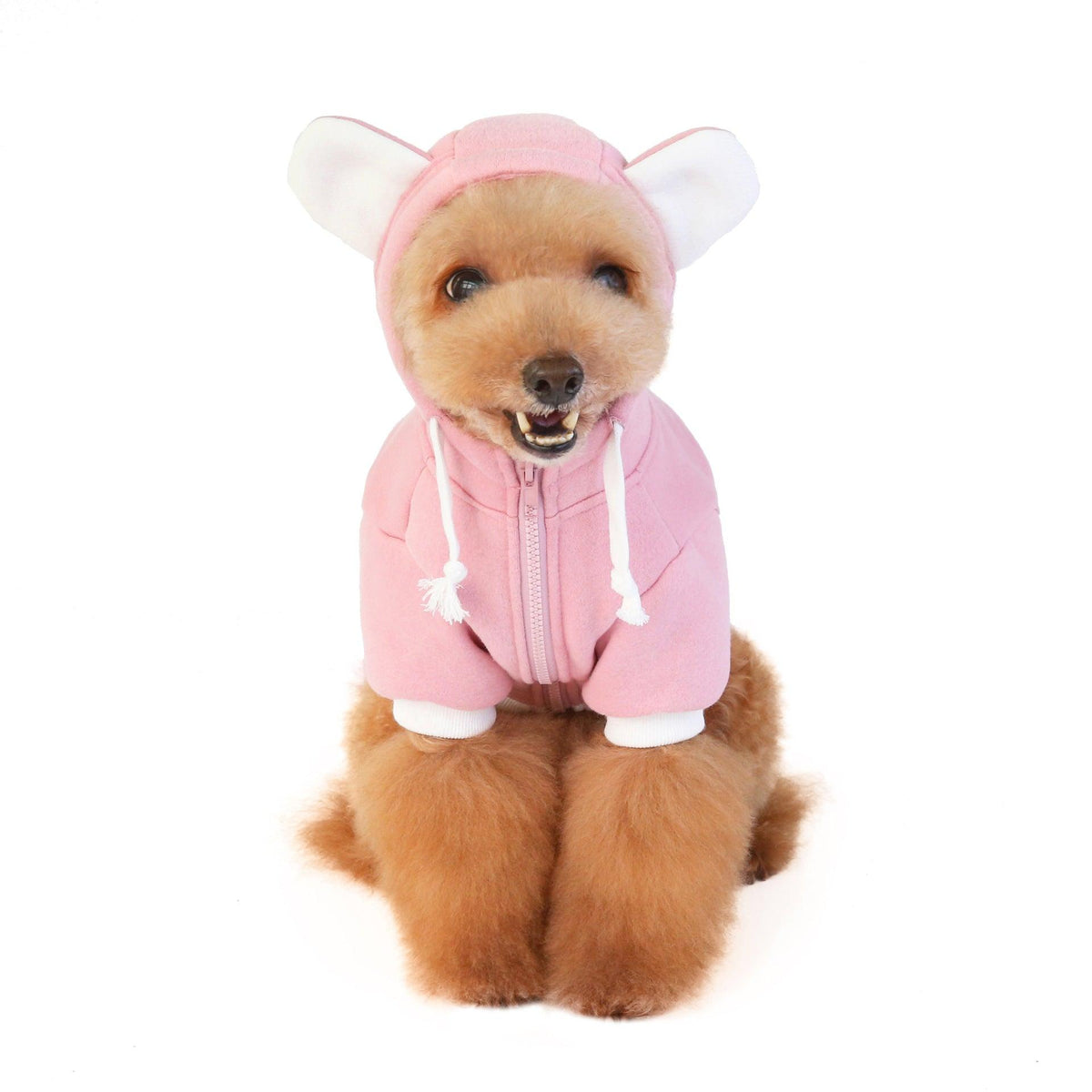 Cozy Bear Hoodie Sweatshirt for Dogs