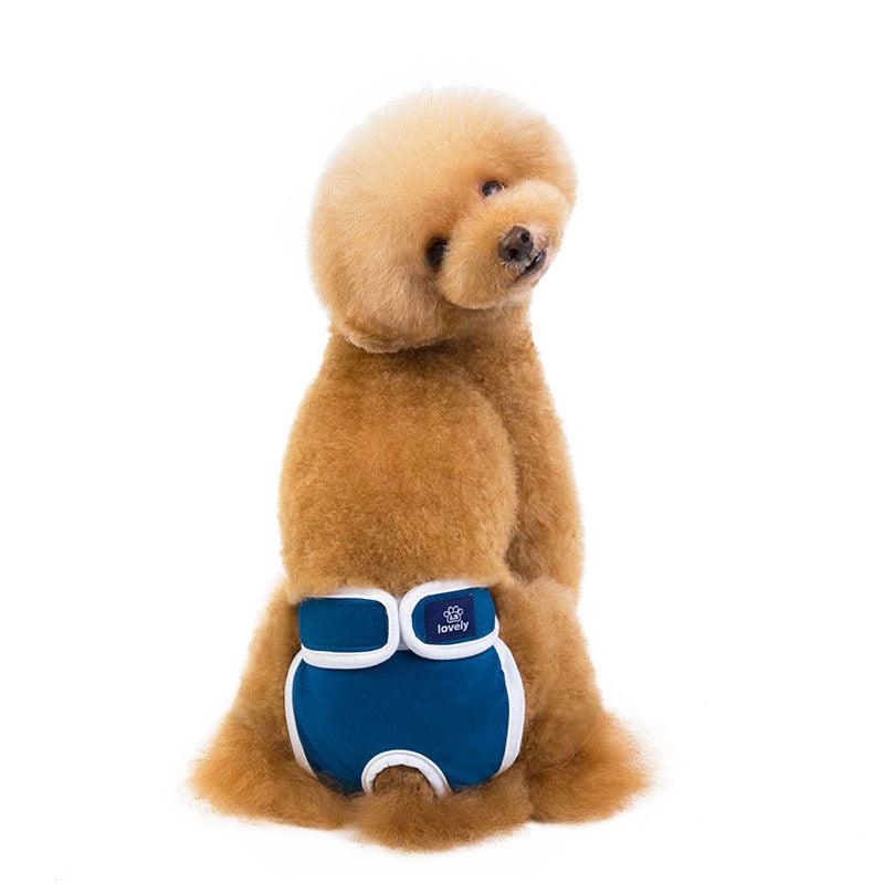 Dog Menstrual Pants for Comfort & Hygiene