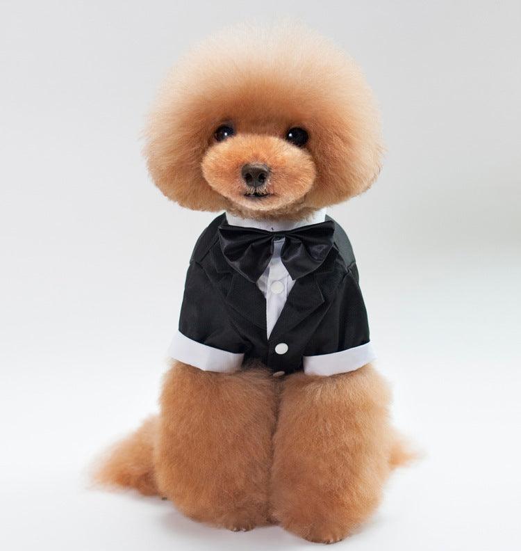 Stylish Pet Tuxedo for Weddings | Elegant Dog Outfit