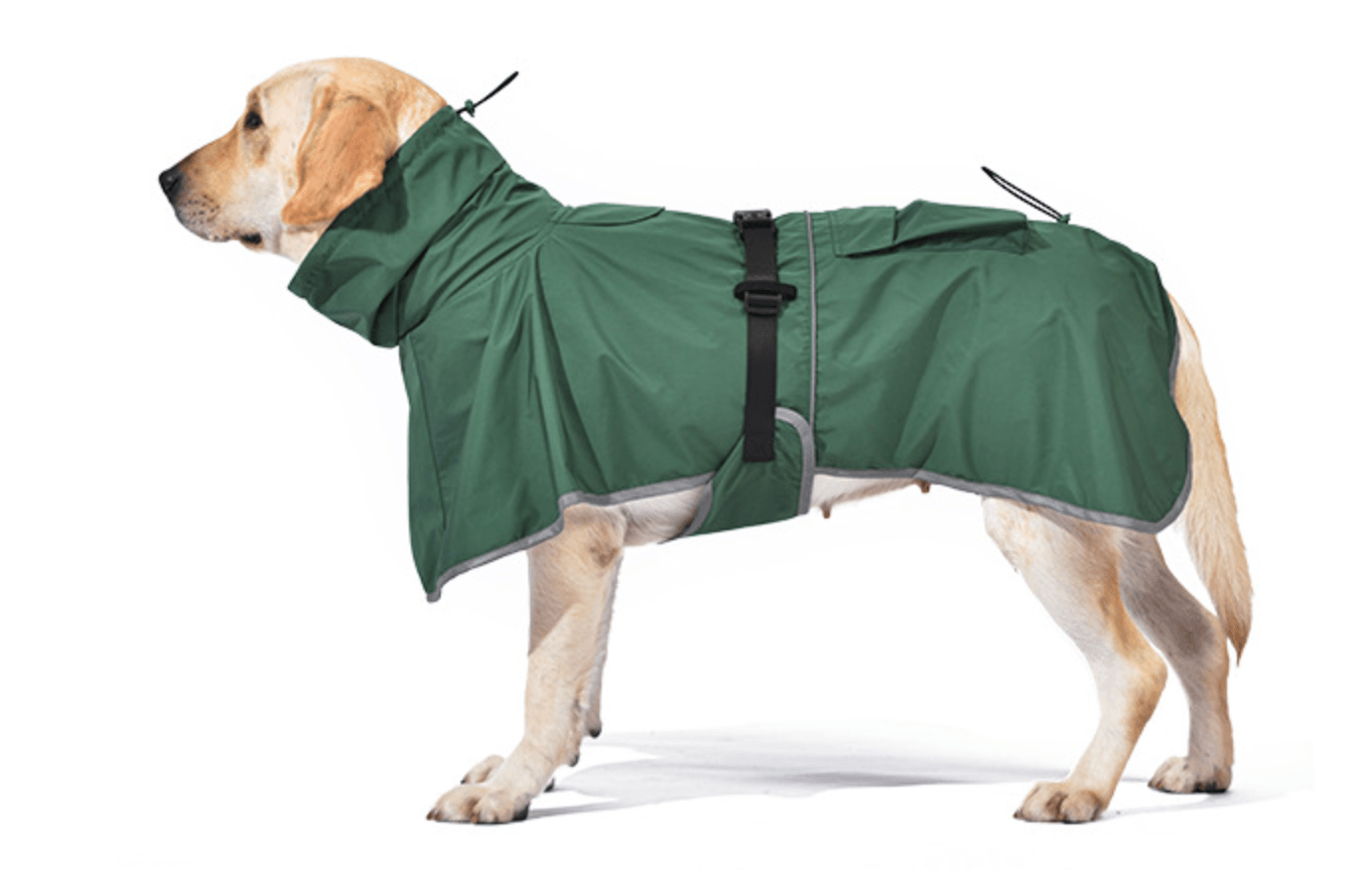 Deluxe Large Dog Raincoat: Weather the Storm in Style!