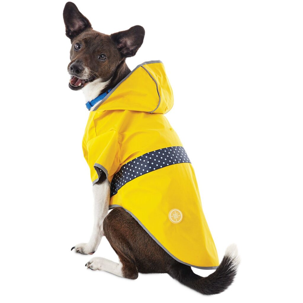 Dog Raincoat